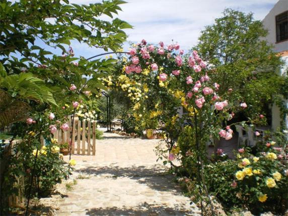 Casas Rurales Cazorla-Alcon Pozo Alcón Oda fotoğraf