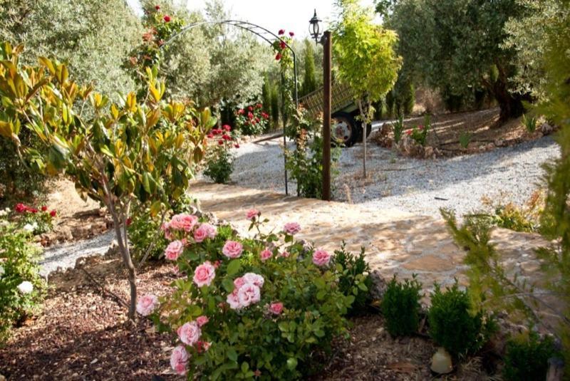 Casas Rurales Cazorla-Alcon Pozo Alcón Oda fotoğraf