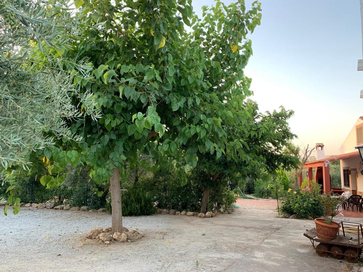 Casas Rurales Cazorla-Alcon Pozo Alcón Dış mekan fotoğraf