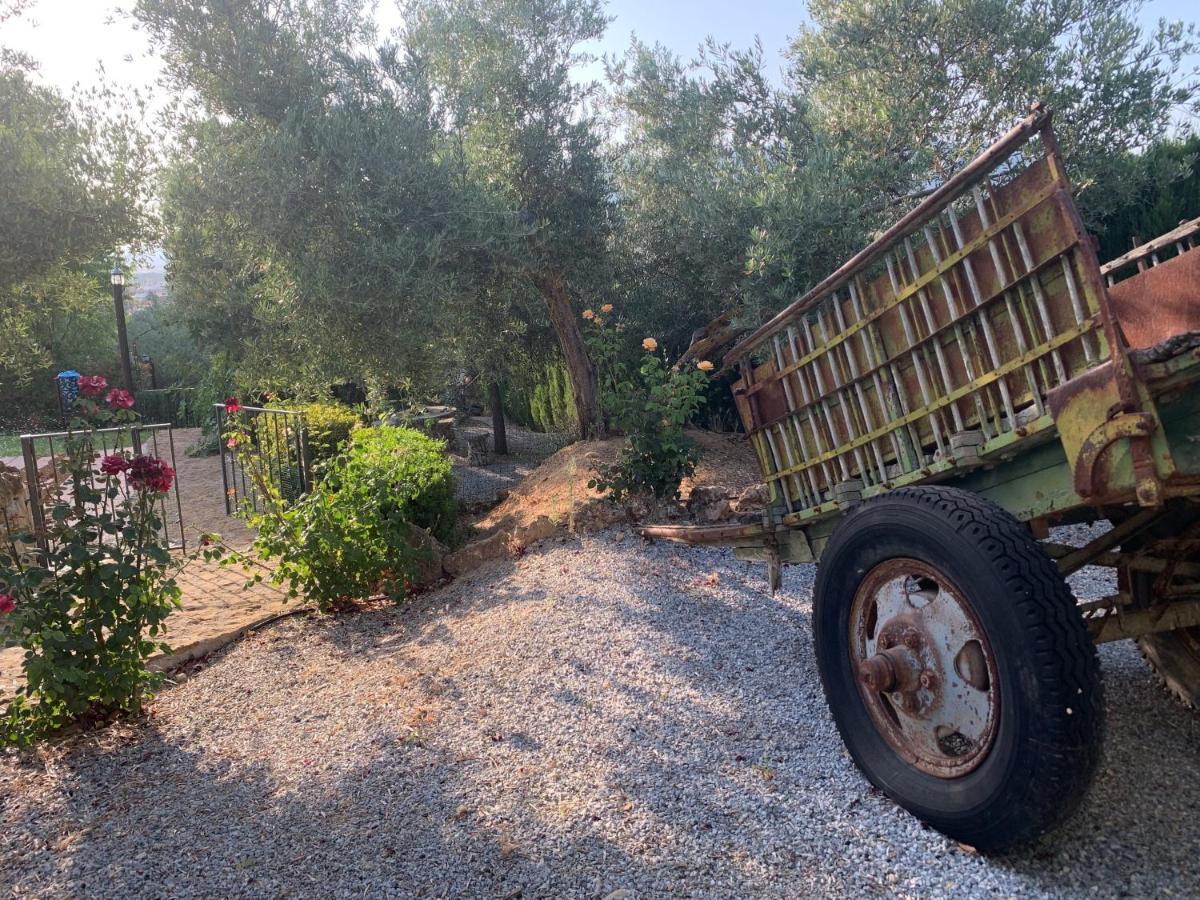 Casas Rurales Cazorla-Alcon Pozo Alcón Dış mekan fotoğraf