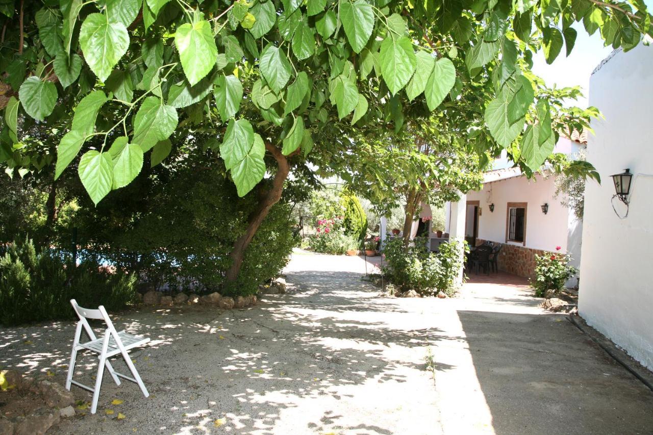 Casas Rurales Cazorla-Alcon Pozo Alcón Dış mekan fotoğraf