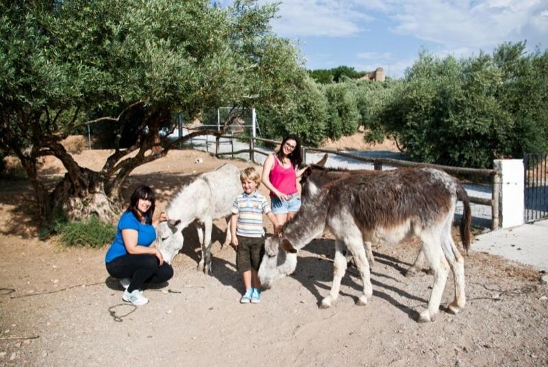 Casas Rurales Cazorla-Alcon Pozo Alcón Dış mekan fotoğraf